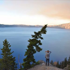 Meet your Posher, Walker